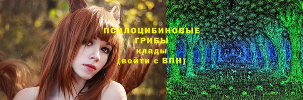 стафф Богородск