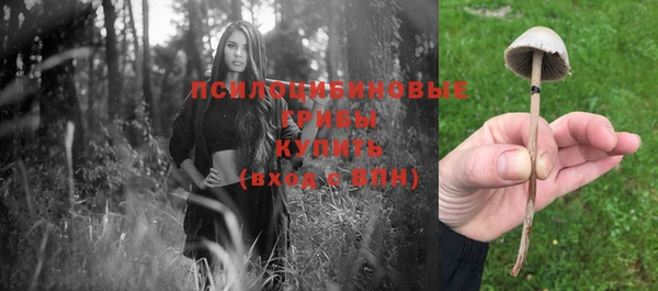 кокаин премиум Богданович