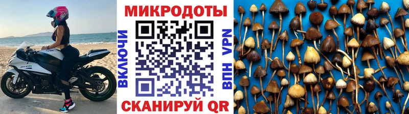 Галлюциногенные грибы мухоморы  Будённовск 