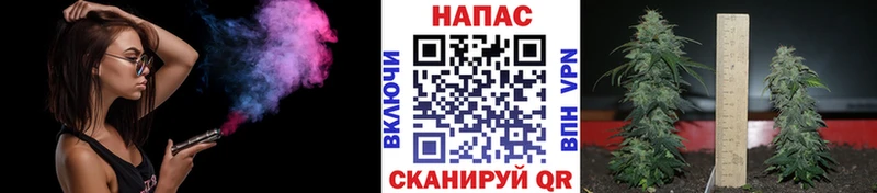 Канабис Bruce Banner  Будённовск 